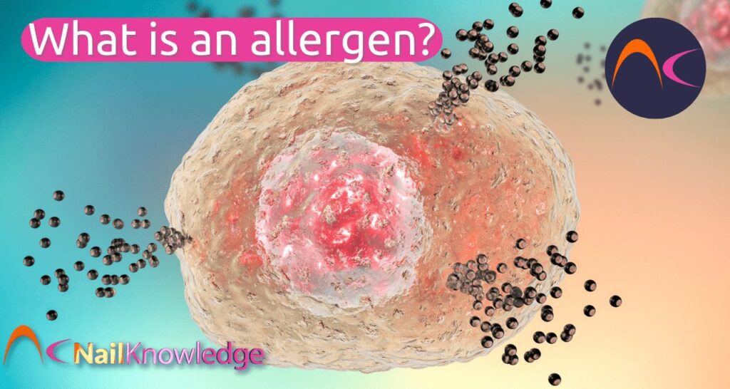 What is an Allergen