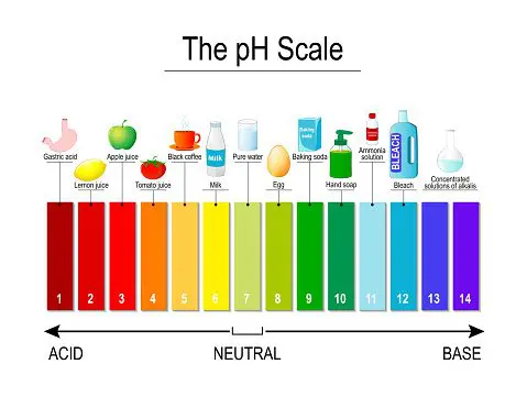 Acid to alkaline - PH scale