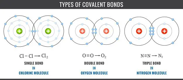 Three types of covalent bonds