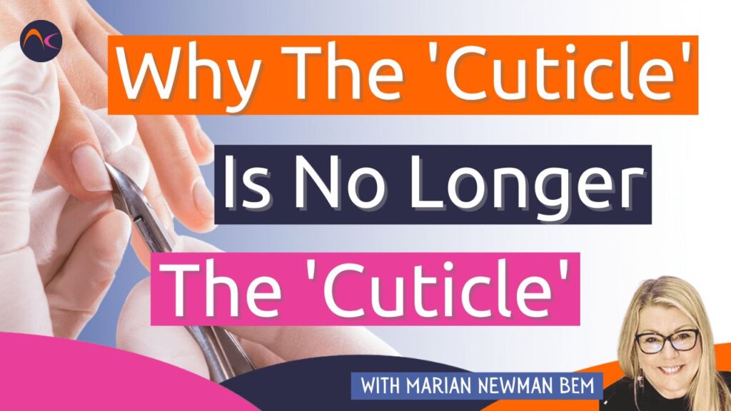 Why the cuticle is no longer the cuticle