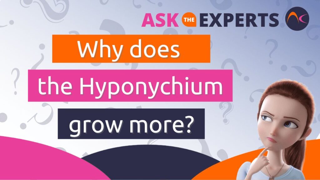 hyponychium growth