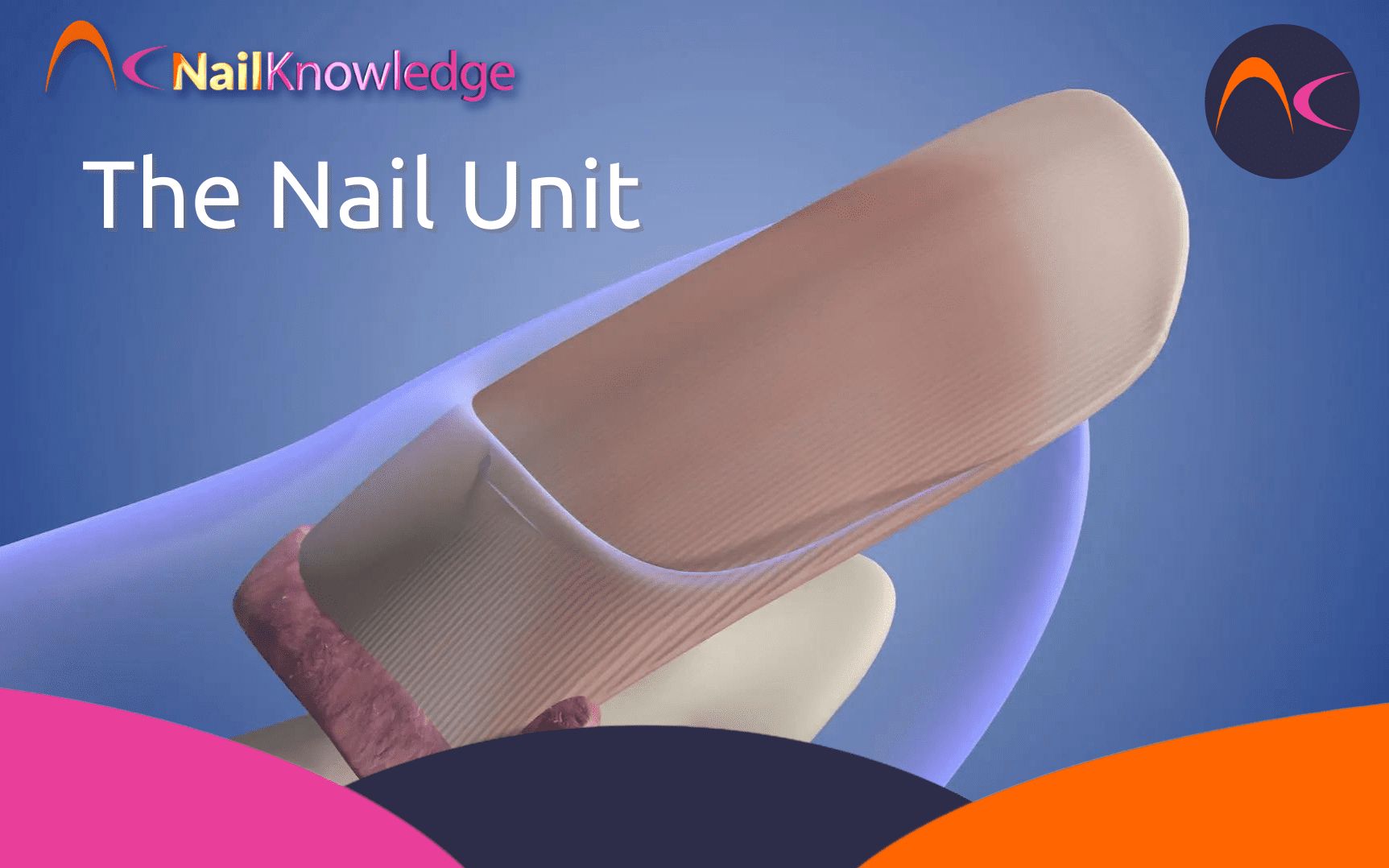 The Essential Nail Professional Diploma NailKnowledge