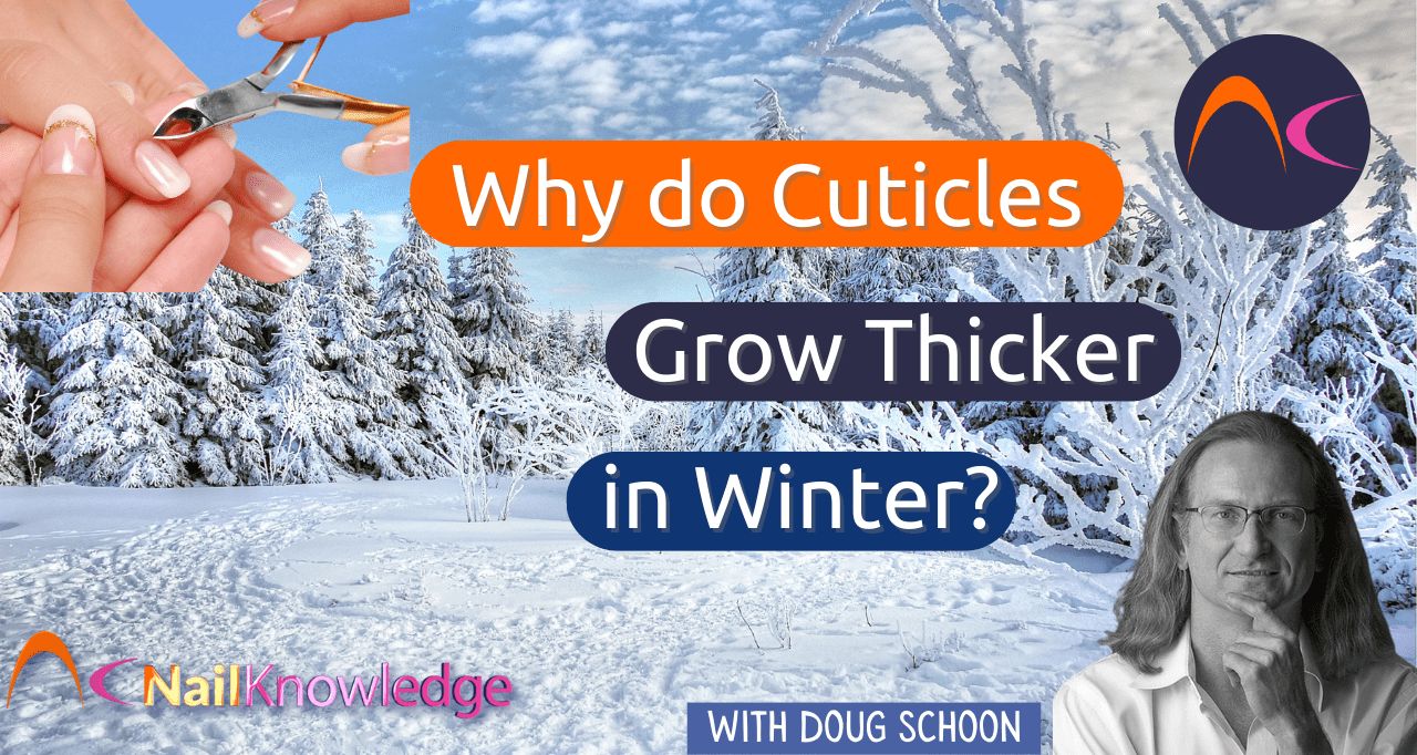 cuticles grow thicker in winter
