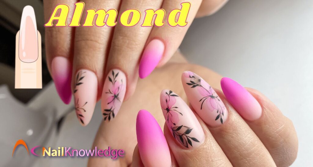 Almond nail shapes