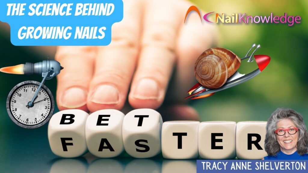 Growing Nails Faster