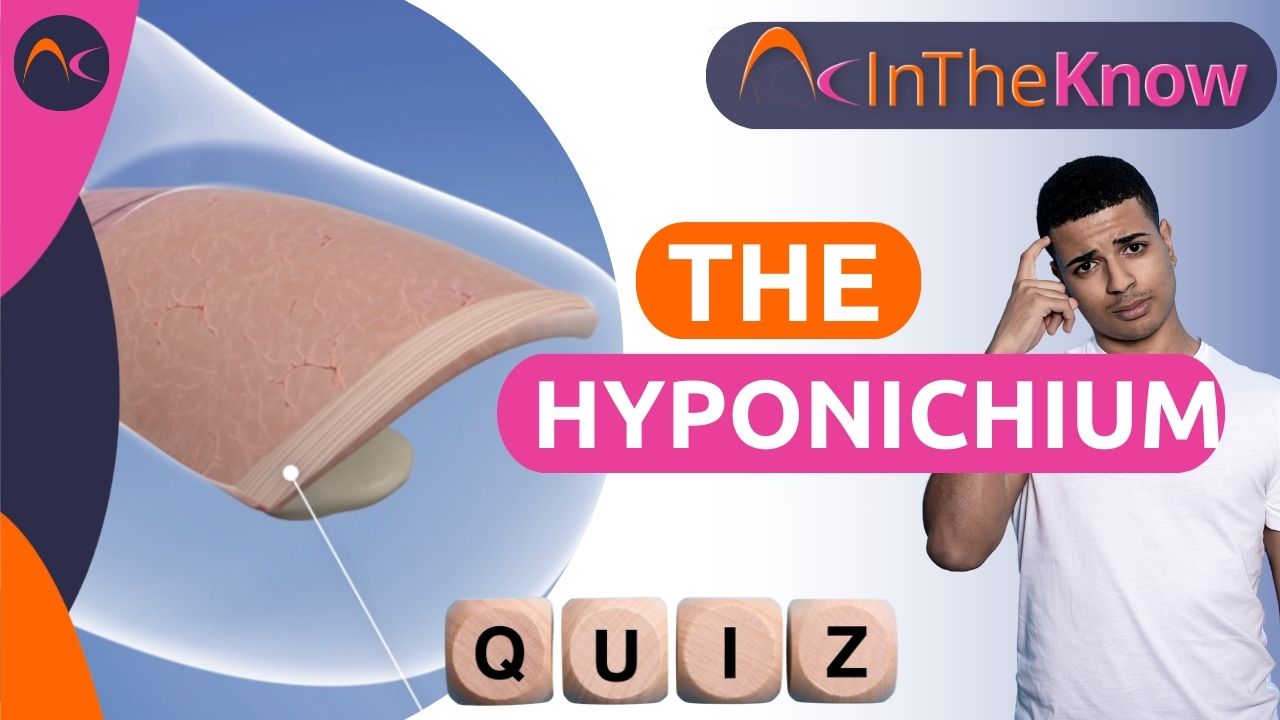 Nail Anatomy - NailKnowledge