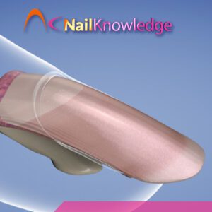 Anatomy and Physiology of the Nail