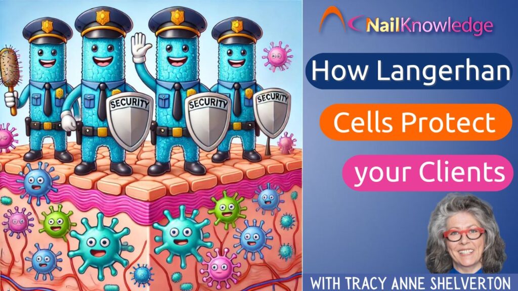 Guardians of the Nail How Langerhans Cells Shield You and Your Clients During a Nail Service