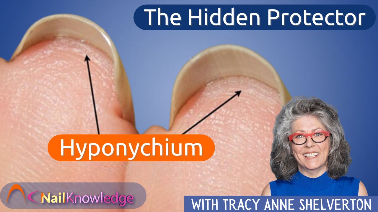 Why Nail Professionals Should Focus on the Hyponychium