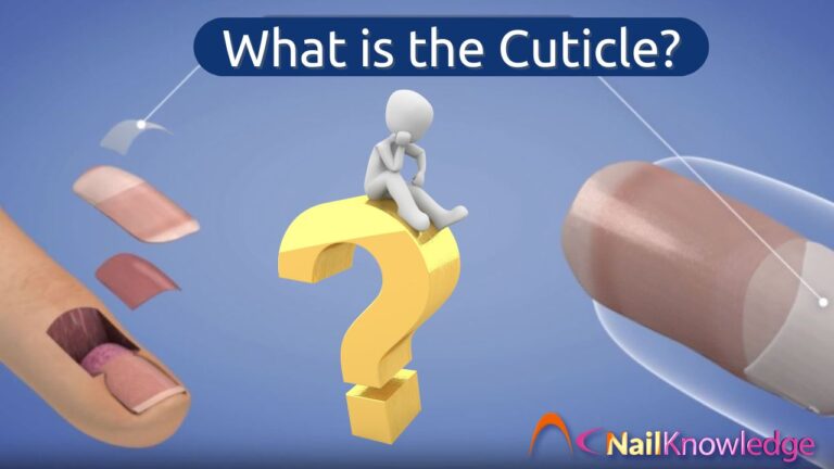 What Is the Cuticle and Why It Matters for Nail Health
